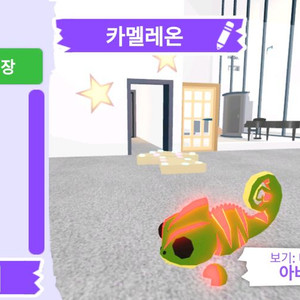 입양하세요 펫 메가네온 카멜레온 판매합니다