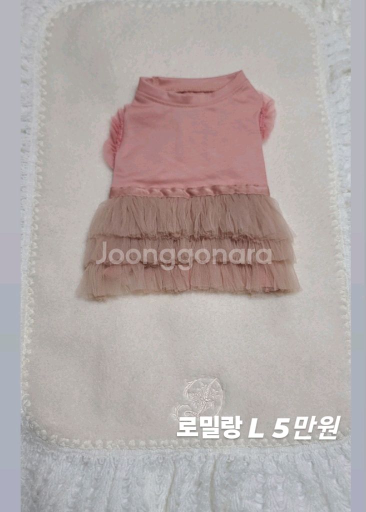 갓아지 애견 의류 옷 꼬모꼬모 쭈쭈클로젯 튜튜 등--1