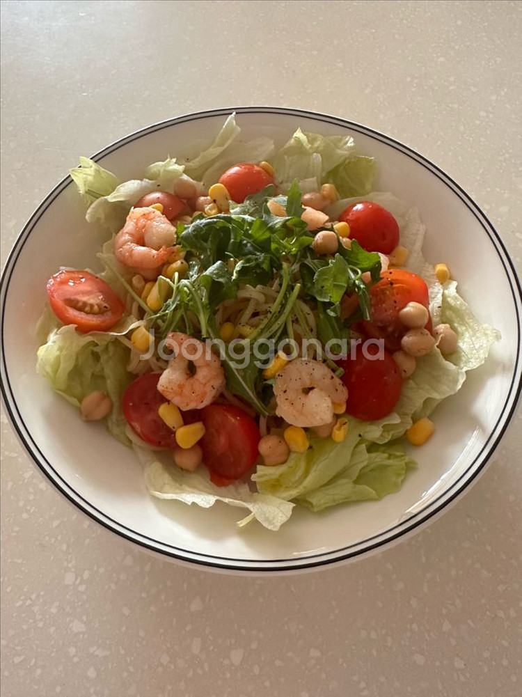 빌레로이앤보흐 디자인나이프 23cm--2