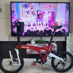버디R레드 팝니다