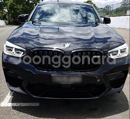 BMW X3 X4 G01 G02 키드니 그릴--6