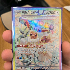 포켓몬카드 이브이 SAR