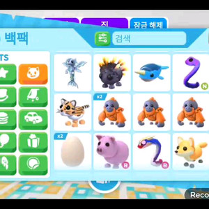 입양하세요 펫