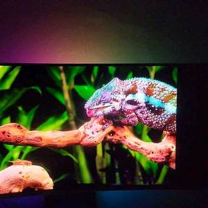 삼성전자 OLED G8 S34BG850 34인치 모니터