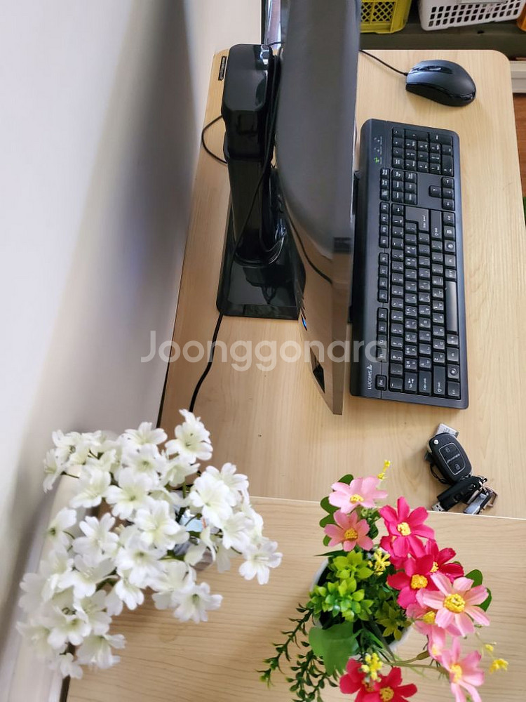TG 24인치 일체형 컴퓨터 i5. 6500--3