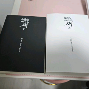 삽니다. 눈물을 마시는 새 페이퍼백