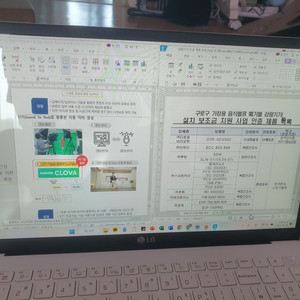 LG 그램 15인치 15ZD90N-VX50K