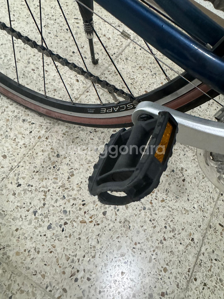 자이언트 리브 에스케이프--0