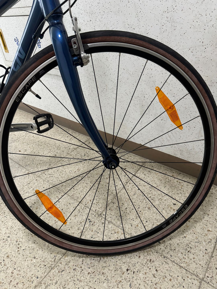 자이언트 리브 에스케이프 이미지