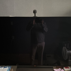 lg 48 c4 kna+나노리프 팝니다
