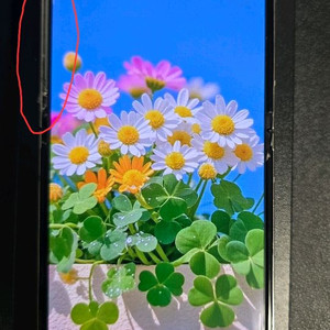 삼케플양도가능/갤럭시 Z 플립5 512G, 민트색