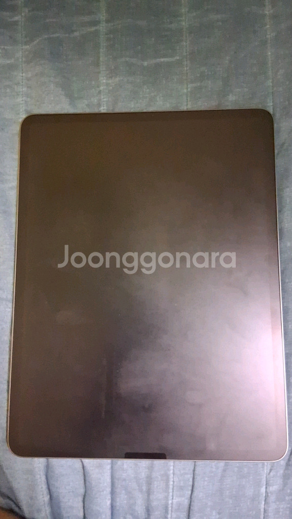아이패드 프로 12.9 5세대 M1 256GB--0
