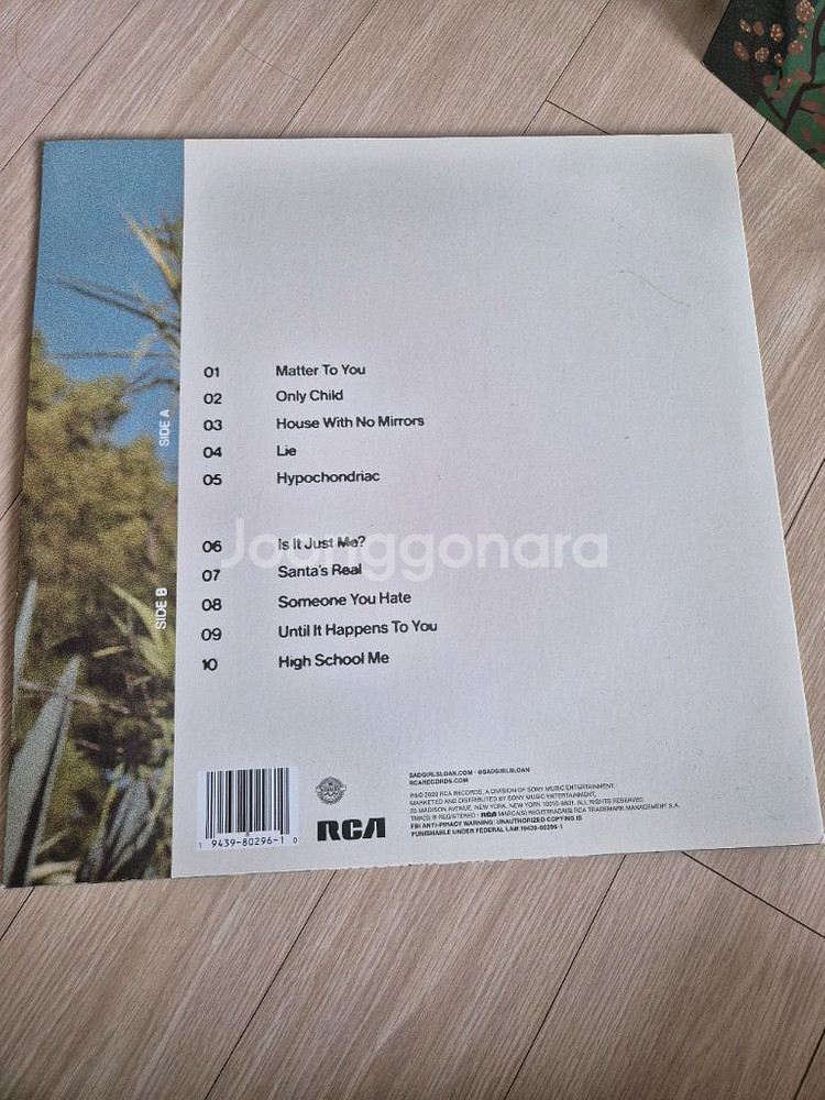 Sasha Sloan Only Child LP--2