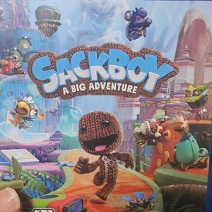 PS5 색보이