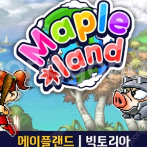 메이플랜드,메랜 클레릭에 어울리는 닉삽니다