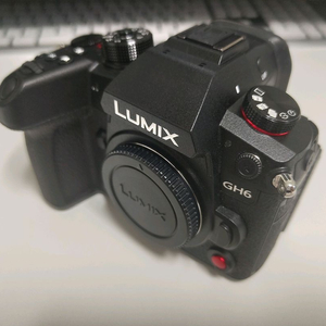파나소닉 루믹스 GH6