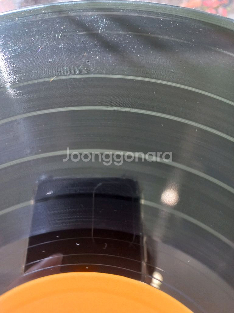 팝 lp 존덴버 JOHN DENVER 일본제작--2