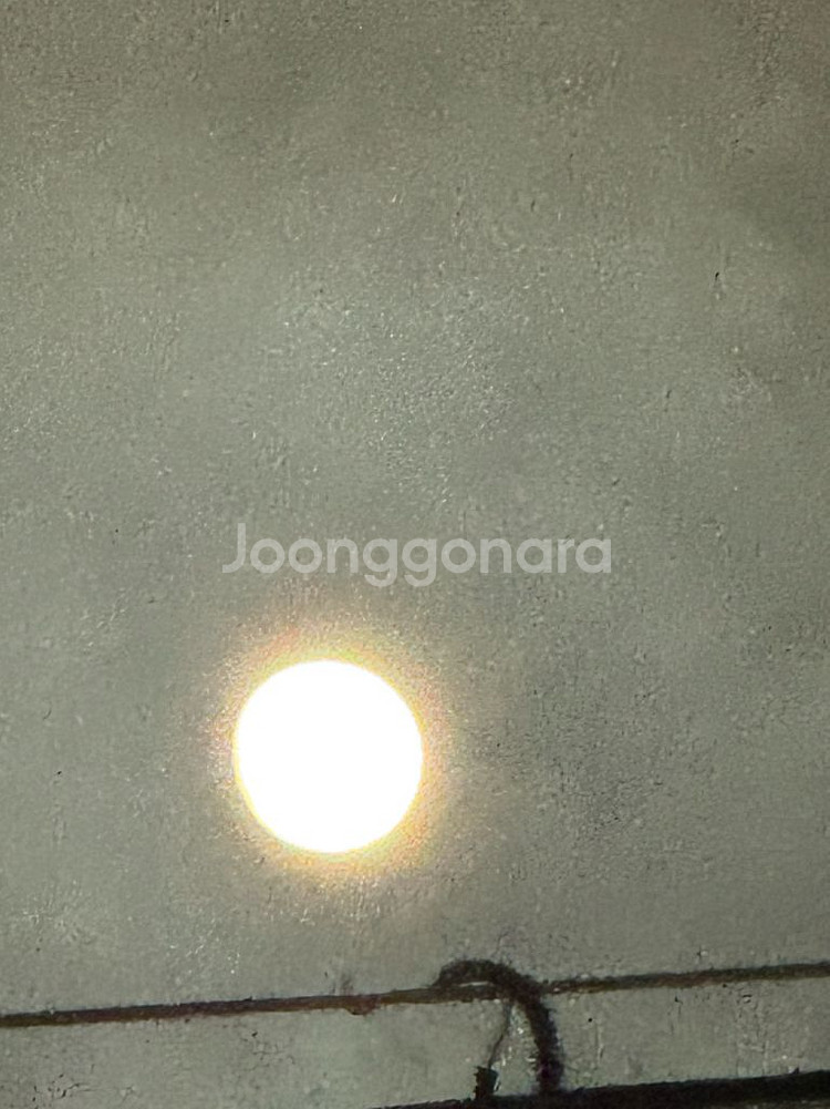 귀스타브도레의 판화성서 삽니다--0