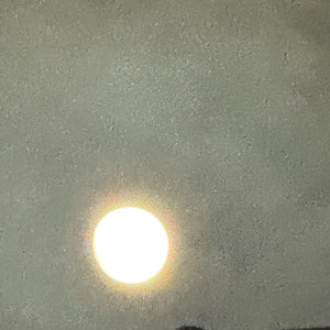 귀스타브도레의 판화성서 삽니다