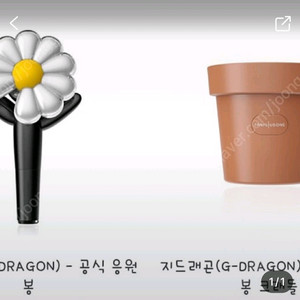 지디데이지봉 6월12일12시 ㄷㄹ구매구해요