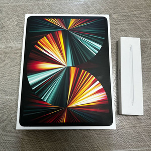 아이패드 프로 5세대 12.9 128기가 셀룰러