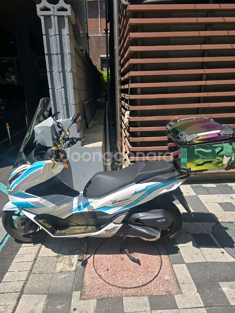 24년식 PCX ABS 최상급 급매 합니다.--1