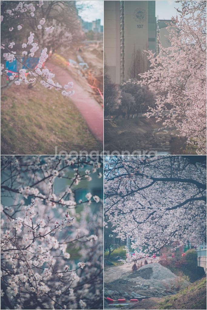 미놀타 md 70-210mm f4 망원렌즈 (정크품)--4