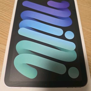 아이패드미니 7세대 셀룰러 256기가