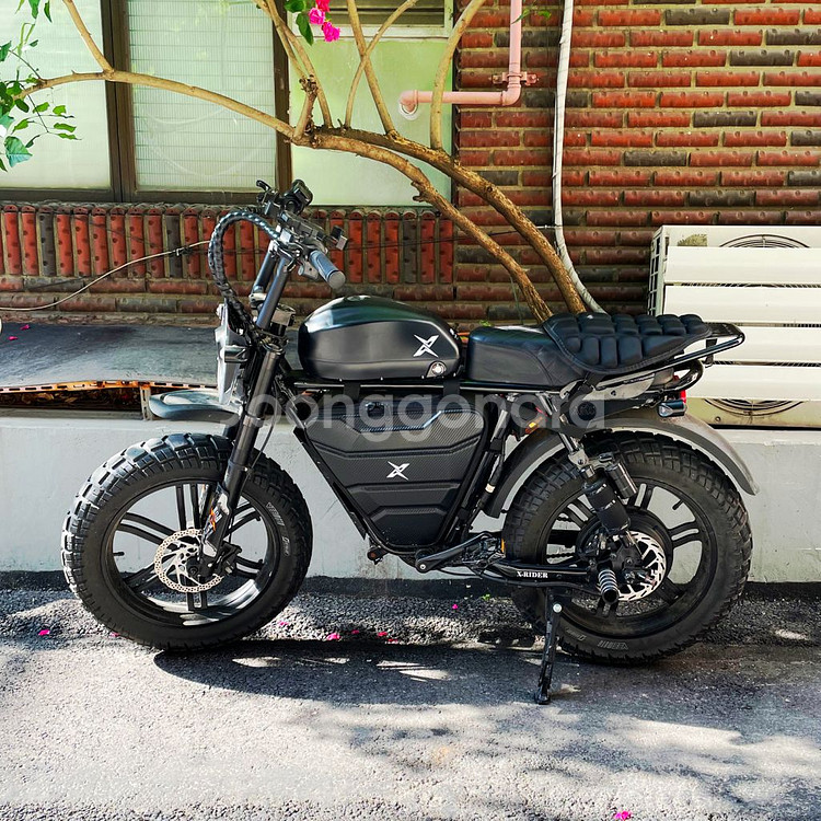 엑스라이더 터보 프로 60V 2000W--1