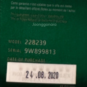 롤렉스 데이데이트