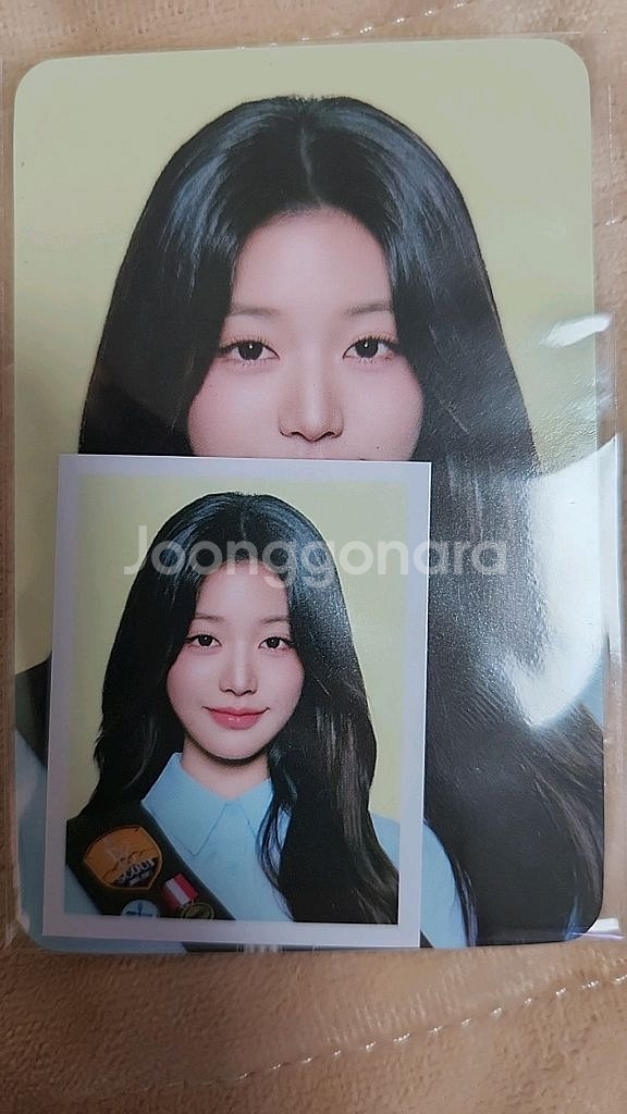 아이브 스카우트 팬콘 엠디 장원영 목베개특전--0