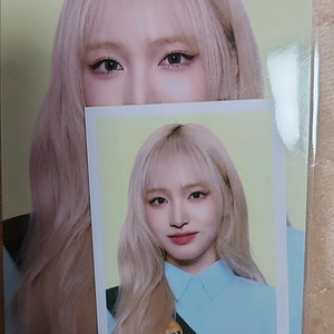 아이브 스카우트 팬콘 엠디 리즈 시리얼볼특전
