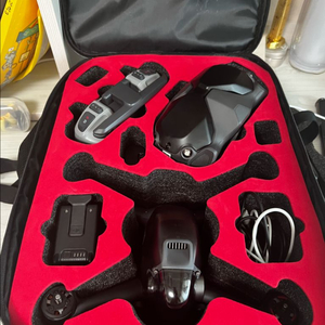 DJI FPV 드론
