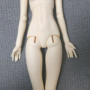 구체관절인형