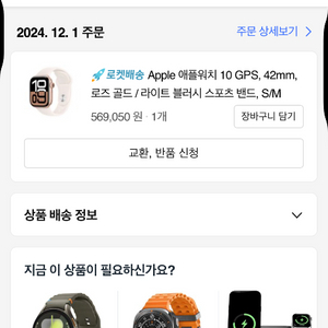 애플워치10