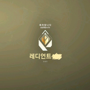 발로란트 대리 (레디언트)