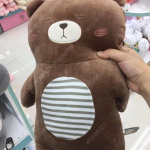 다이소 곰돌이인형 삽니다