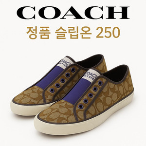 COACH 코치 정품 슬립온 250 / A급 / 퍼플