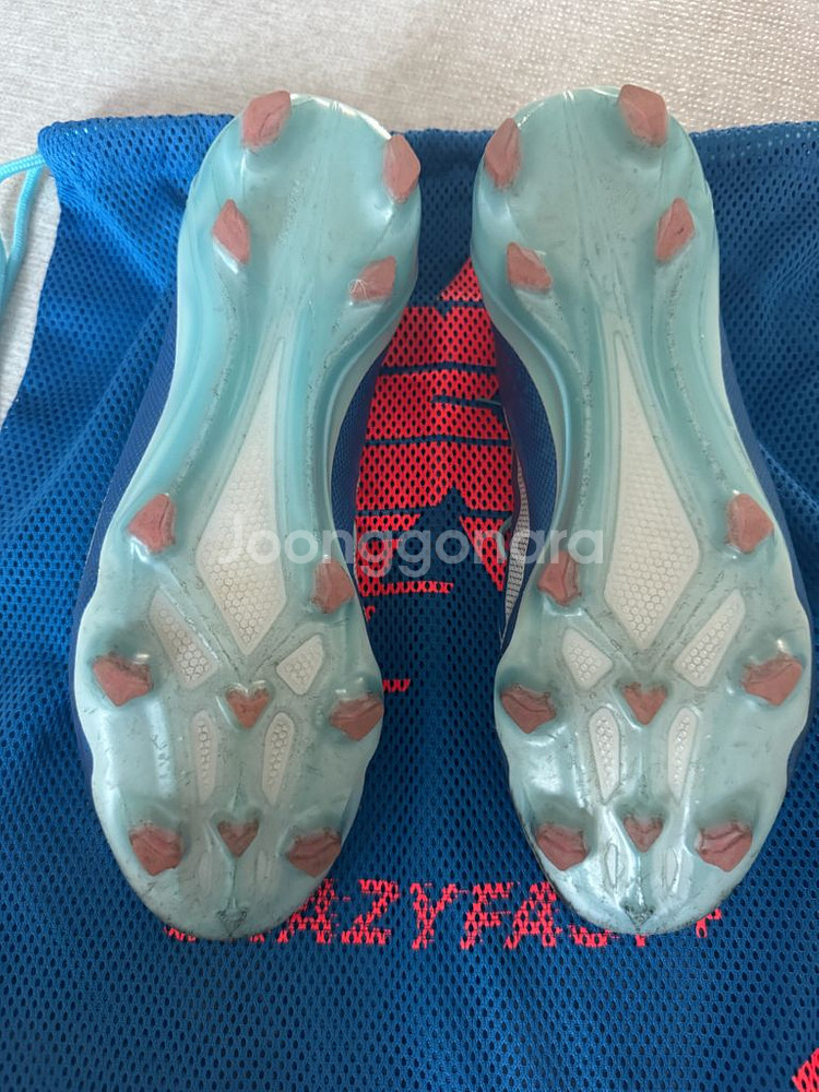 아디다스 엑스 크레이지패스트+ fg 250--2