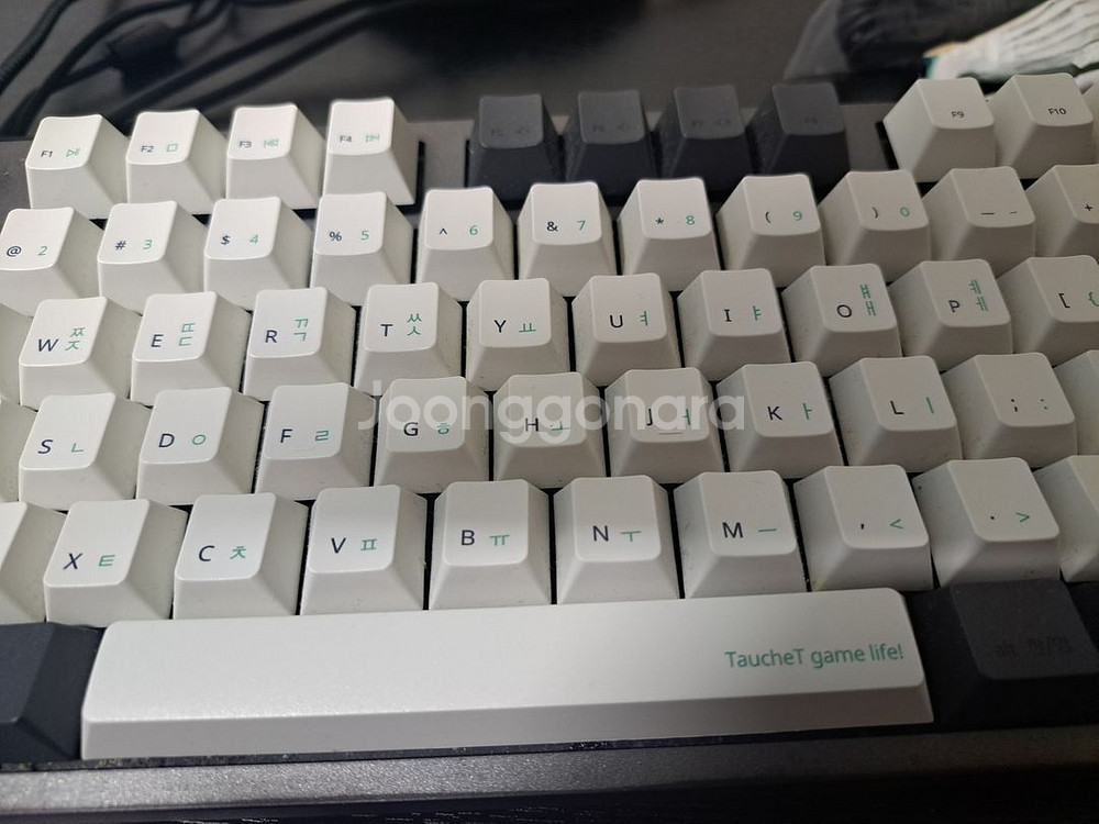 토체티 텐키리스 키보드 갈축--1