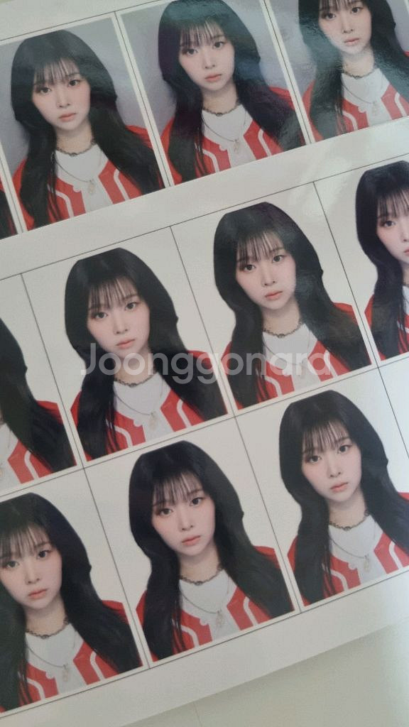 세이마이네임 도희 증명사진 비공굿 증사 준휘히토미--1