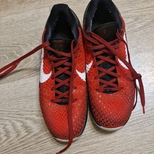 코비6