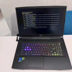 MSI 스워드 GF76 17.3 게이밍노트북