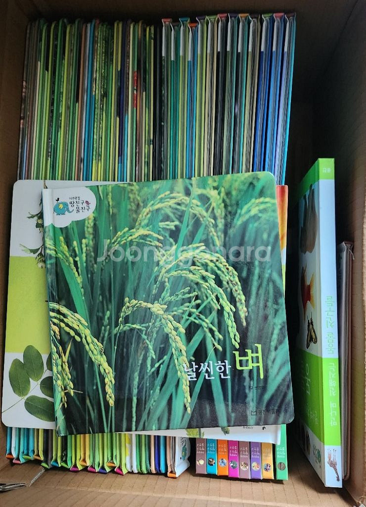 웅진 자연관찰 땅친구 물친구 전집--3