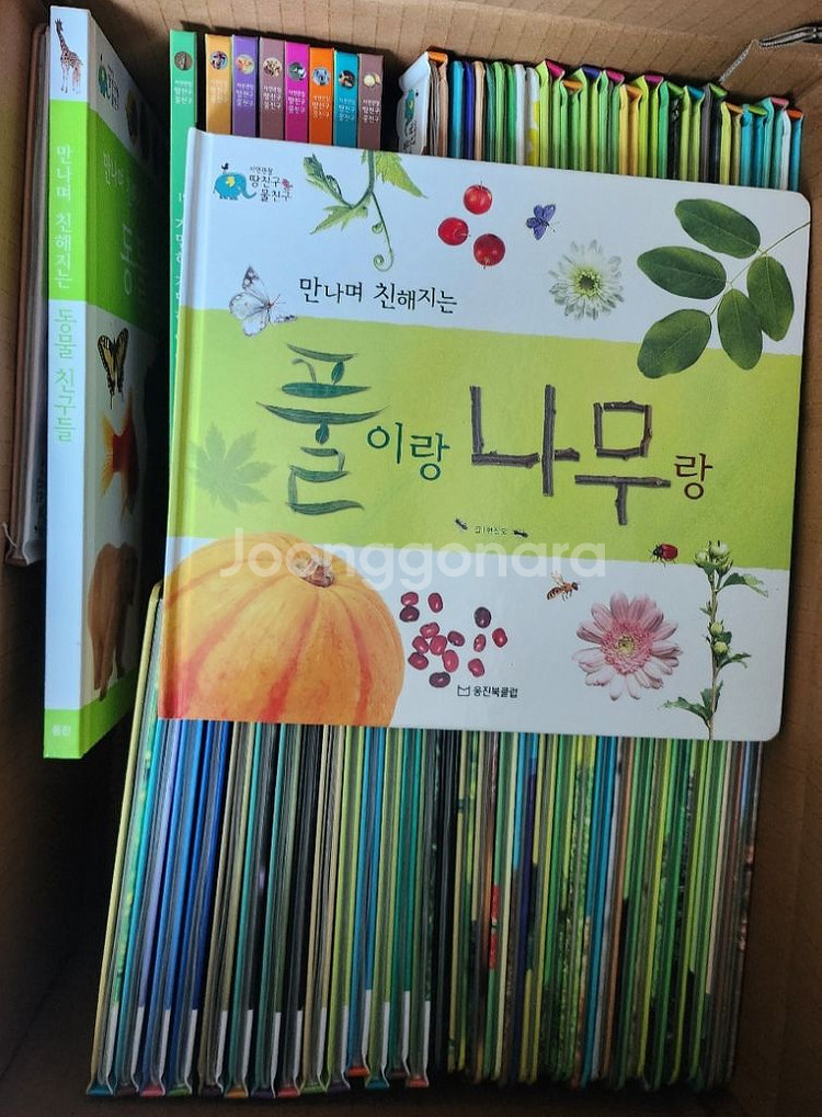 웅진 자연관찰 땅친구 물친구 전집--2