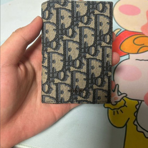 디올 오블리크 오거나이저