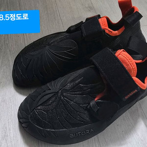 암벽화 부토라 나르샤 39