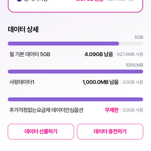 lg u+ 데이터2기가