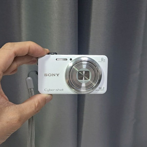 감성추천! 소니 사이버샷 DSC-WX80 콤팩트 카메라
