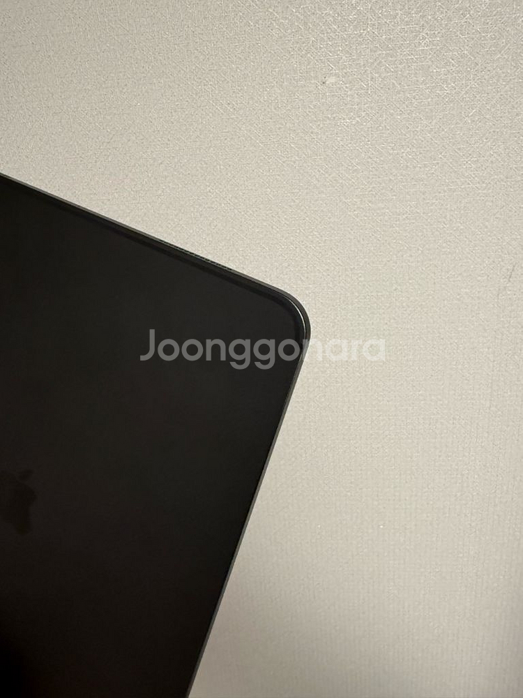아이패드 프로 m4 13 256--2